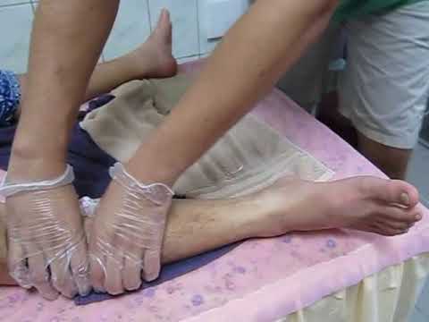 新竹新竹福華大飯店 2021最新房价