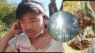 Indian Village Vlog