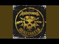 Miniature de la vidéo de la chanson Raise The Flag (Live)