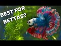 Enhancing Your Betta Fish Tank: The Importance of Thoughtful Decorations