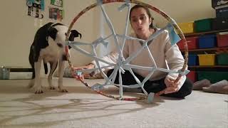 Enrichment Essentials: Spider Web Hula Hoop! Happy Halloween (FB live) by J-R Companion Dog Training 39 views 6 months ago 1 minute, 41 seconds