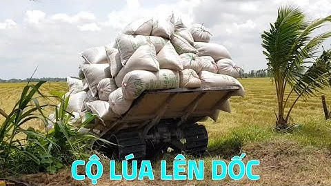 Máy Kéo Lúa Bánh Xích Nhỏ Mà Khỏe Chở Lúa Nhiều Chạy Lên Dốc Đứng Ngốc Đầu, Rice Tractor, LADY968