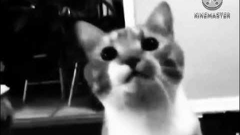 Shortest Video On YouTube Part 3 Haunt HyperCubed