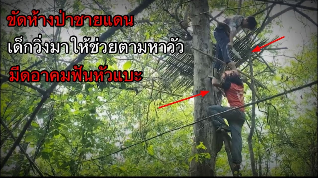 ขัดห้างกลางป่าลึกติดชายแดนมีชายปริศนาเดินมาขอให้ไปช่วยตามหาวัวของเขา!แต่สิ่งที่เกิดขึ้นมัน??