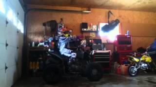 Harlem shake quad style