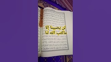 آيات بينات من سورة التوبة #القرآن_الكريم #تلاوة_خاشعة #سورة_التوبة #coran #islam