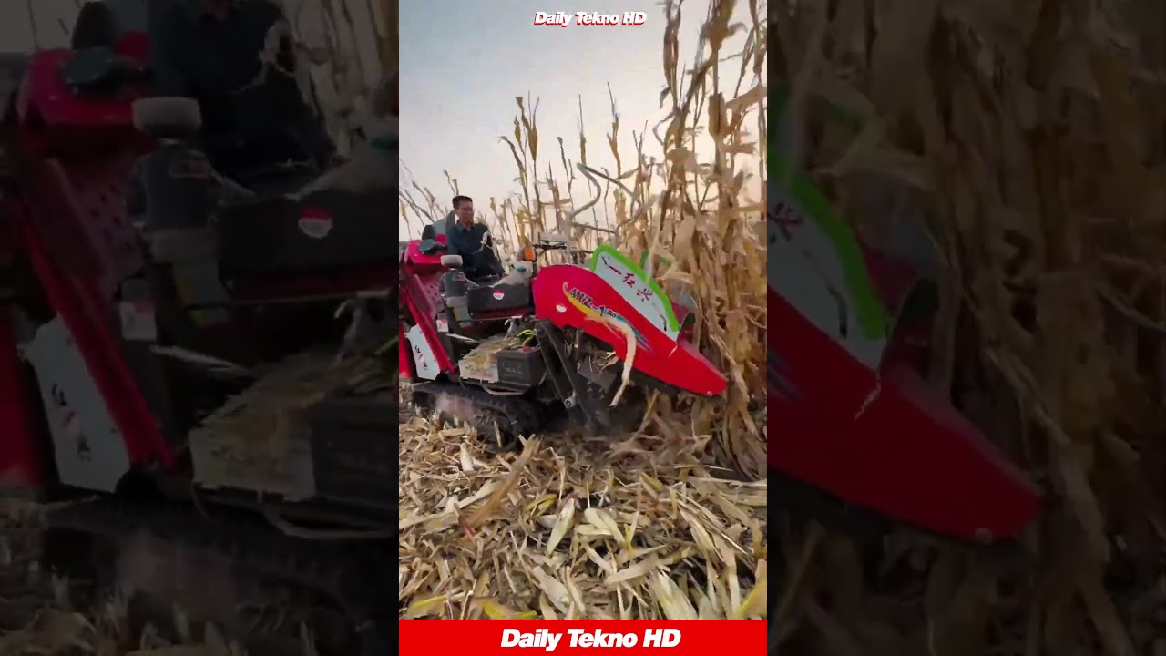 Next-Level Farming: The Mini Corn Harvester 🚜 