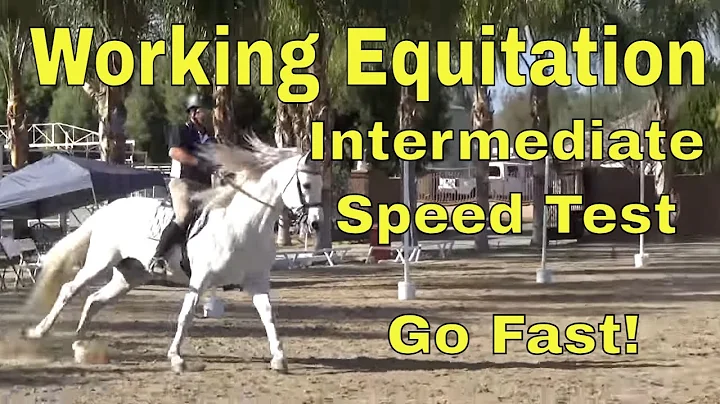 Working Equitation Intermediate Speed Howard Peet