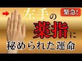 【手相&times;科学】薬指が長い人に共通する&ldquo;人生後半の奇跡&rdquo;とは?