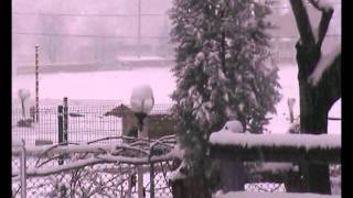 Osmancık-Ulusoy Asya Dinlenme Tesisleri