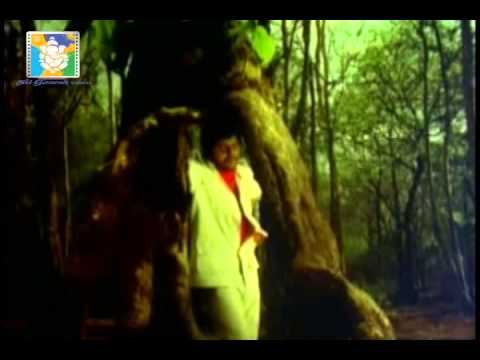 Ille Swarga Ille Naraka video song from Nagara hole kannada movie