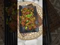 Chicken 65 || #foryou #food #recipe #chicken #chicken65 #foodshorts #crispychicken #nonveg