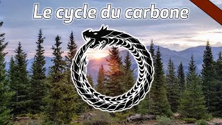 Le cycle du carbone.