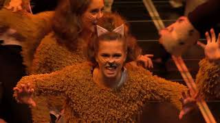 Step Sing 2019 Sat night