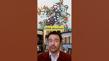 This LEGO DNA Set is The Most Accurate LEGO Set Yet! #shorts