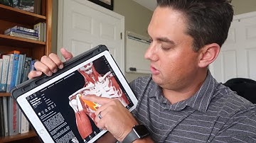 How to fix Rounded Shoulders (Gone with 2 Easy Stretches)