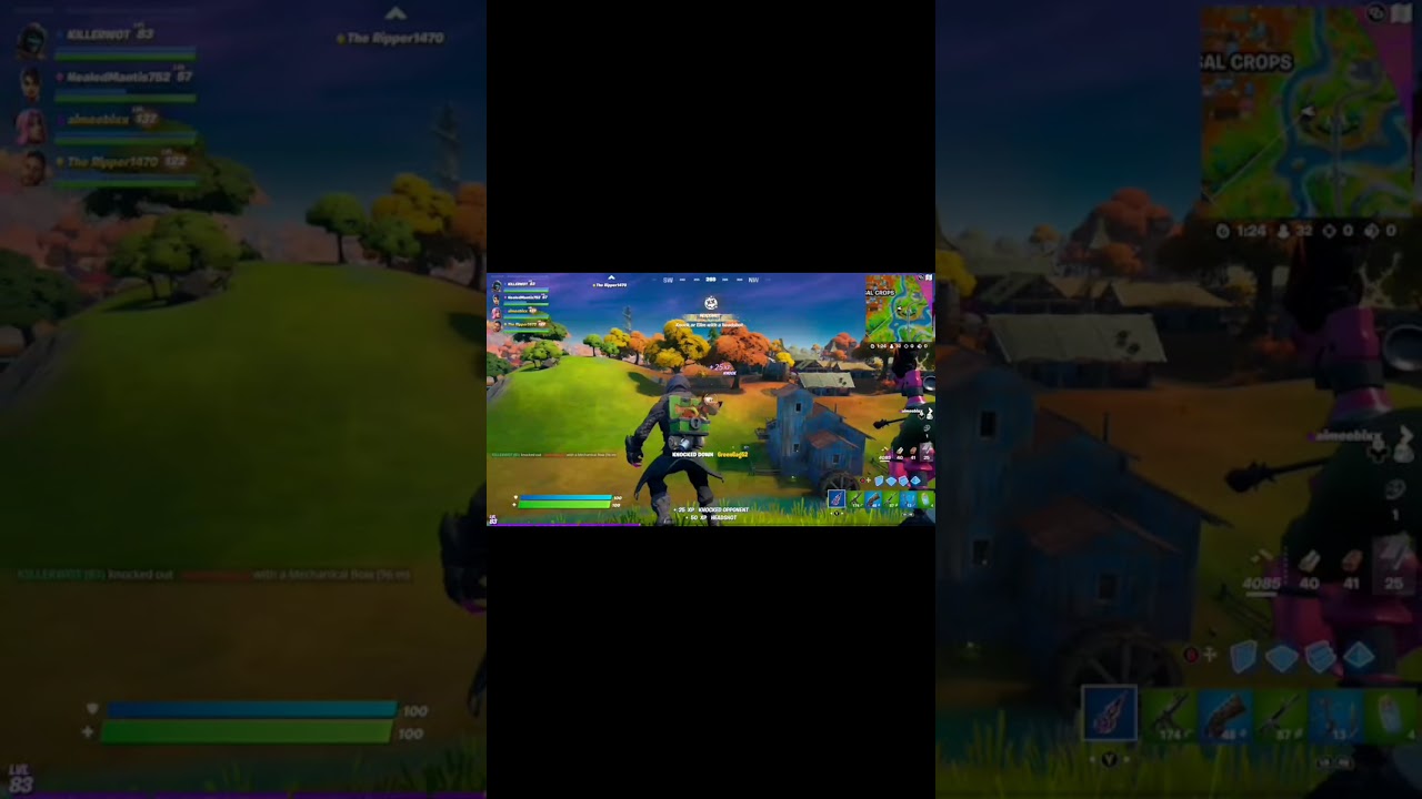 The Second Person Didn't Know What Hit Them | Fortnite Clips 