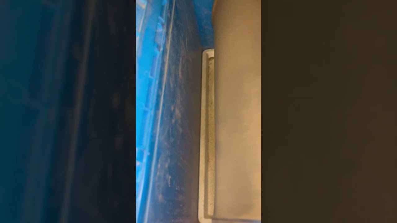 Extraction de pollen tambour à fleurs