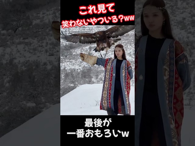 面白い映像 爆笑韓国学生のいたずら！！