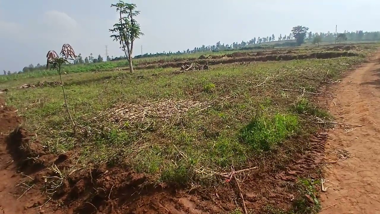 DORE SITE IHENDUTSE IRI KURI KABURIMBO INYAMATA MILIYONI 16 KUGEZA 11.5 TEL 0788866655