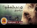 Thanthi TV Special Documetaries : Thekkampatti Thiruvizha (07/02/2016) - Thanthi TV