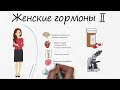 Женские гормоны (часть 2. Эстрогены, менопауза, анализы) - RedCells.ru