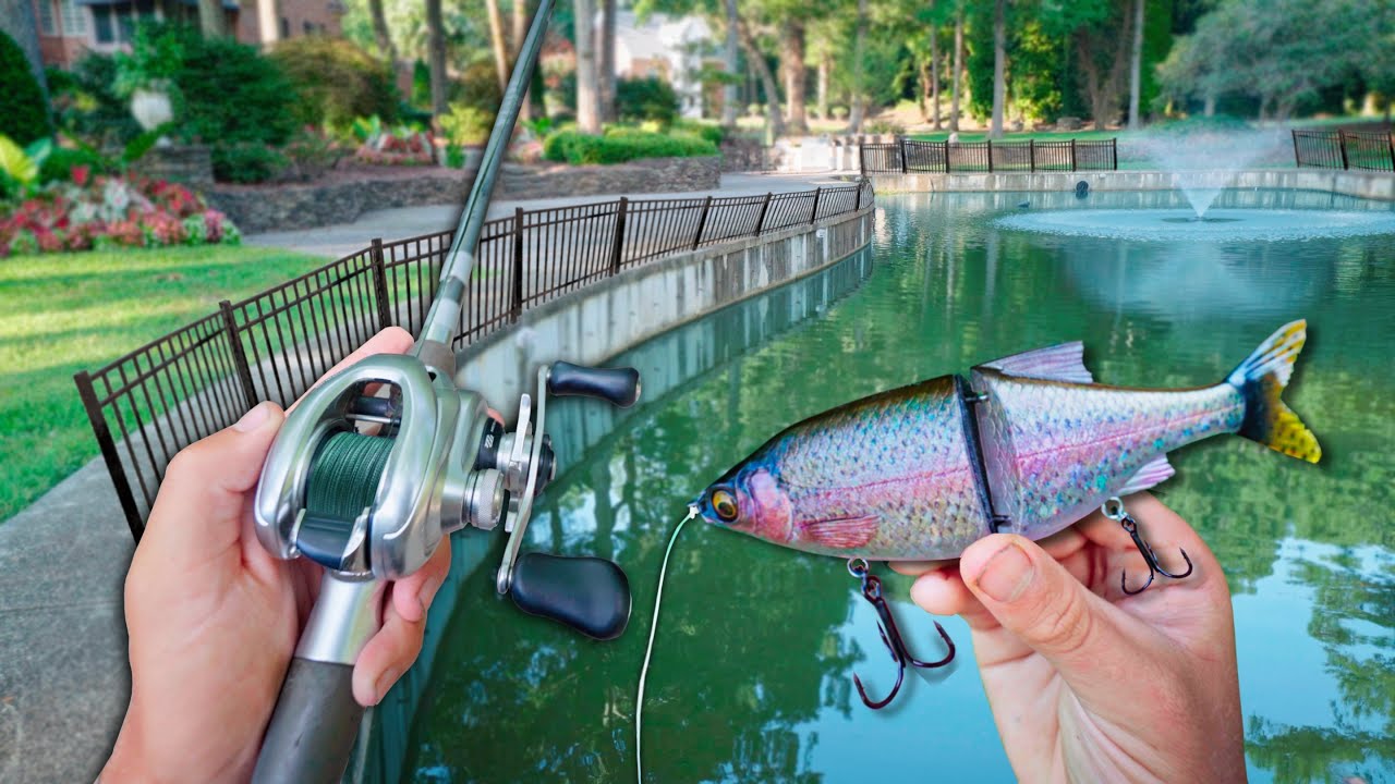 Fishing BIG Swimbaits For GIANT Urban Bass! (Bank Fishing)