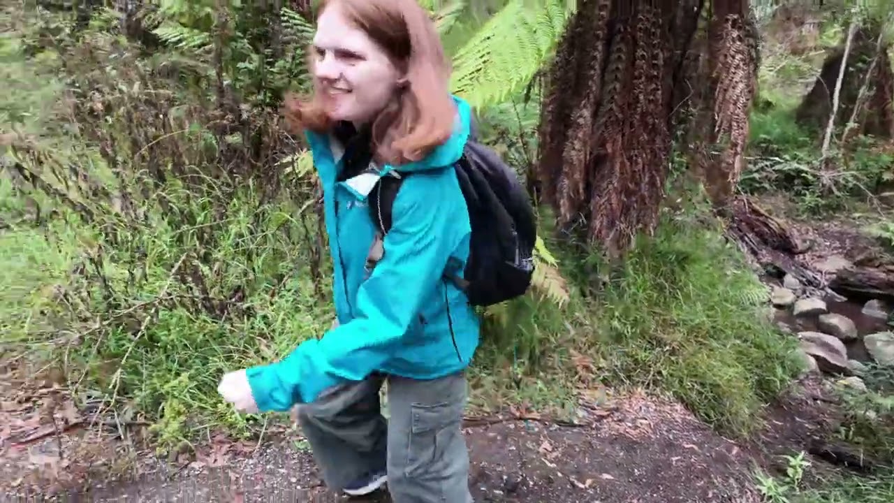 Sherbrooke Falls Hike