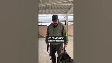 КОМАНДА 
