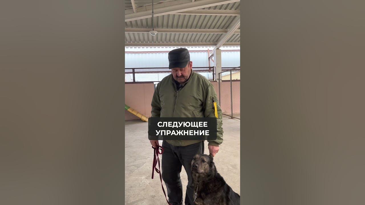 Упражнения для собак БХ