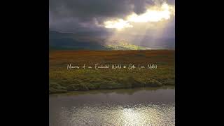 Gitte Lore Mikfelt - Morning Mist on Emerald Moss