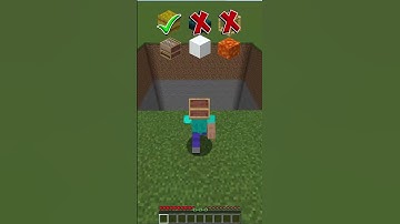 MINECRAFT FALL DAMAGE VS BLOCK