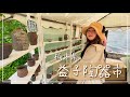益子の陶器市に行ってお気に入りを見つけた🍚🥢