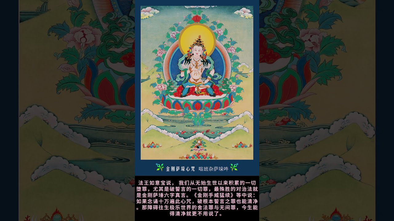 纪念法王教言| 念诵金刚萨埵心咒能清净无始生世的一切罪业#索达