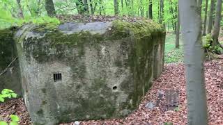 Solo Expedition: Exploring WWII Bunkers in the Forest--Would You Explore Alone? Part 2