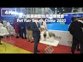 [4k]2020广州华南宠物用品展览会撸羊毛 Pet Fair South China 2020