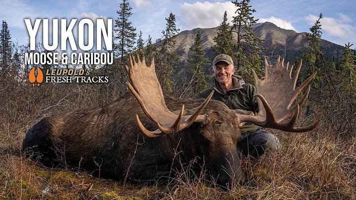 EPIC Caribou & Moose Hunt! | Randy’s Yukon Dream Hunt #FreshTracks
