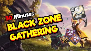 ⛏️ PROFIT FROM BLACK ZONE GATHERING IN 30 MINUTES ⛏️ | ALBION ONLINE