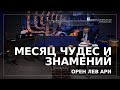 Месяц чудес и знамений | Орен Лев Ари