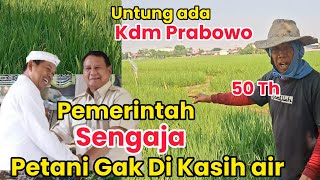 SAWAH PETANI SENGAJA GAK DI KASIH AIR SUPAYA DI JUAL MURAH UNTUNG ADA KDM DAN PRABOWO