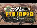 We Went Inside An Ethiopian Church Forest We Went Inside An Ethiopian Church Forest