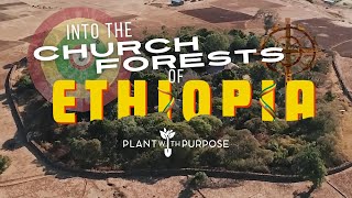 We went inside an Ethiopian church forest...