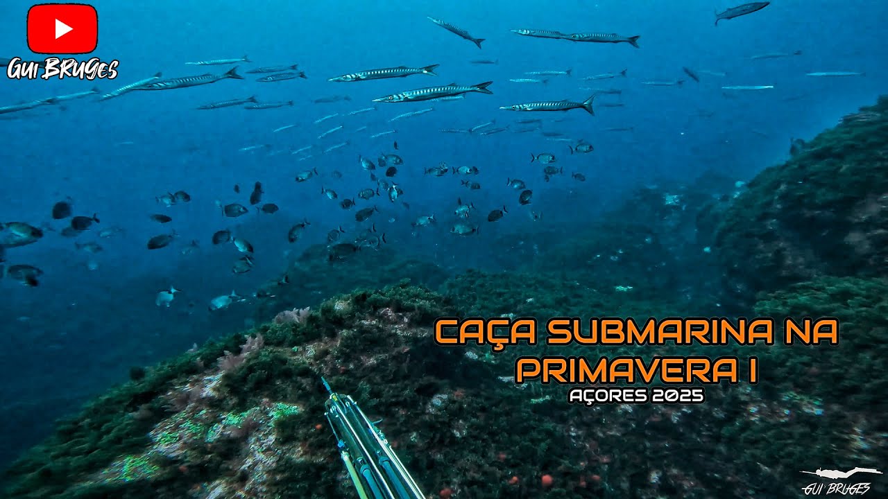 Caça Submarina na Primavera I -  Açores 2025