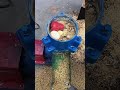 #feedpelletgrindingmill #animalfeedpelletgrindingmill #livestockfeedpelletmill