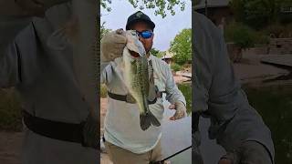 Spring bass fishing season 2026 #bassfishing #springbassfishing #simmsfishing #shimanofishing