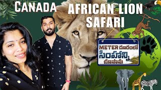 CANADAలో AFRICAN LION SAFARI | METER దూరంలో సింహన్ని చూసాను | Fun Day Out😂😂😝