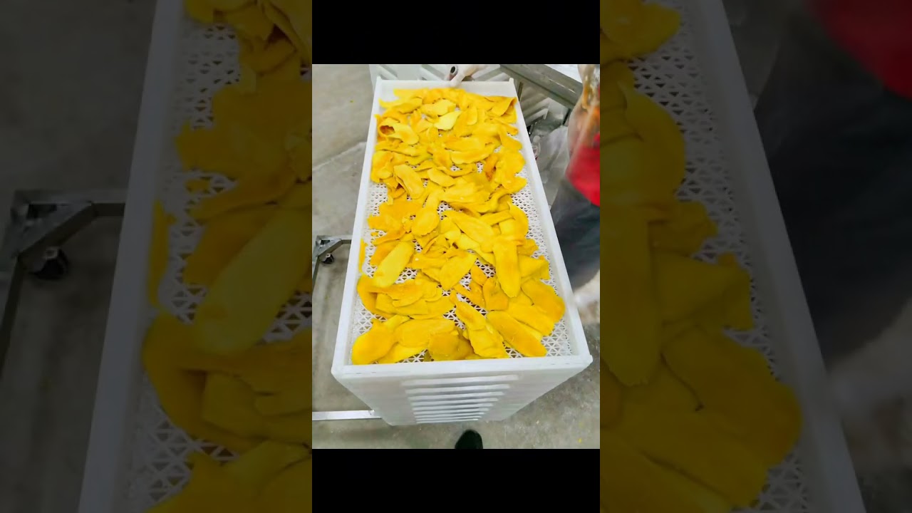 Mango Fruit Dryer Machine (www.menasenmachinery.com)
