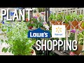 Plant Shopping at Lowes & Walmart | They had so many Beautiful Indoor Plants! Big Box Store December
