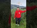 Huancavelicano #viral #baile #santiago
