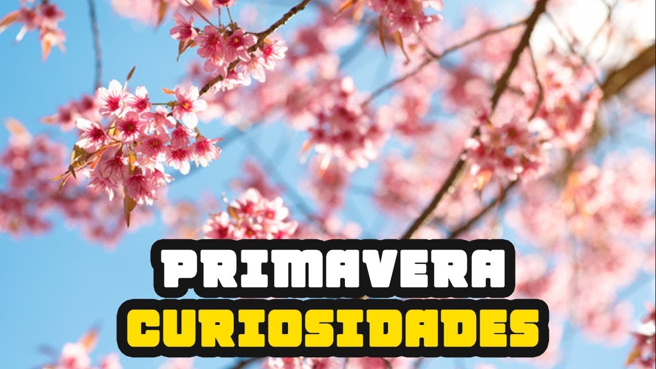 Curiosidades Sobre A Primavera - NAZAEDU
